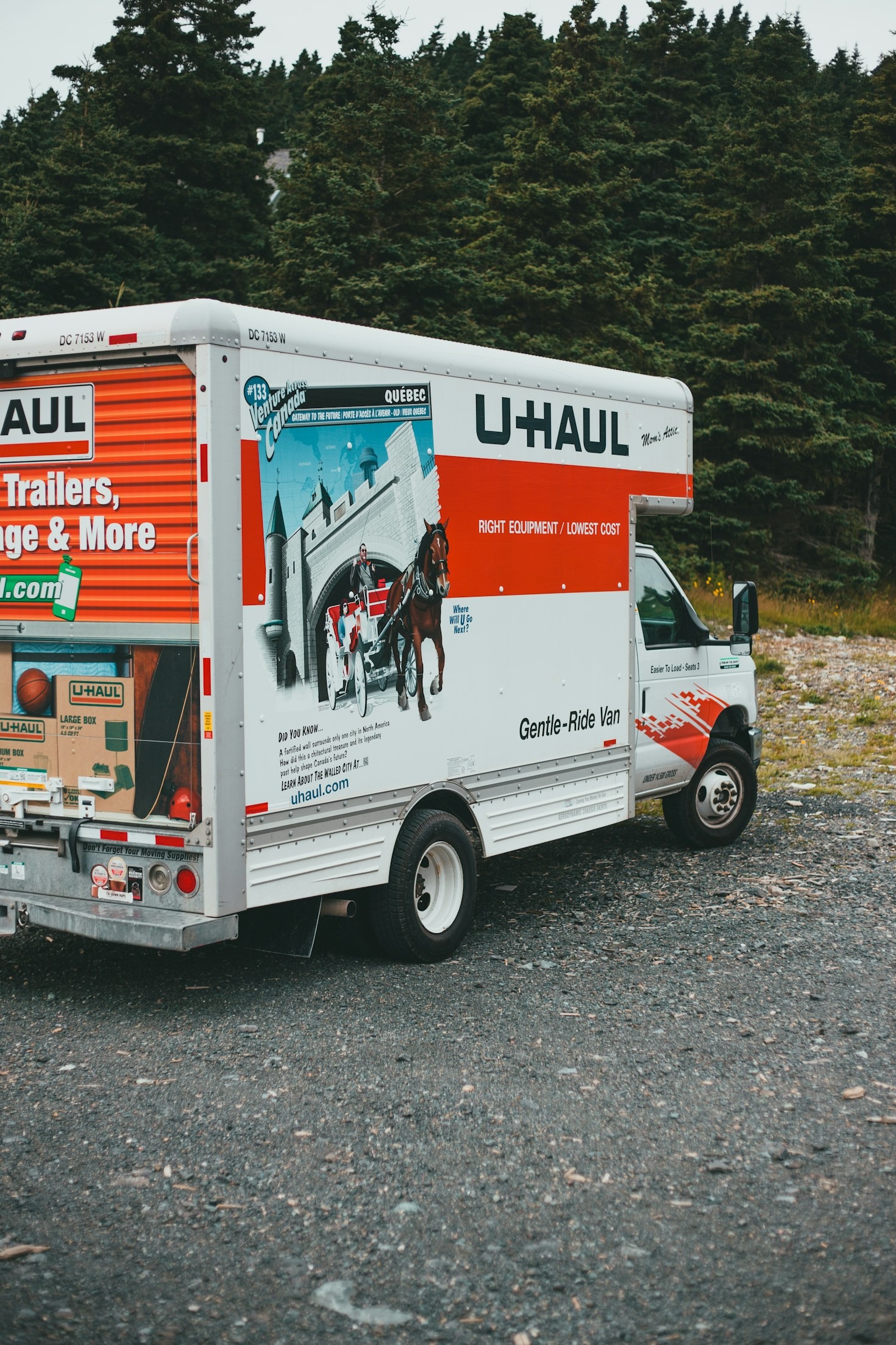 How Professional Movers Simplify Relocation