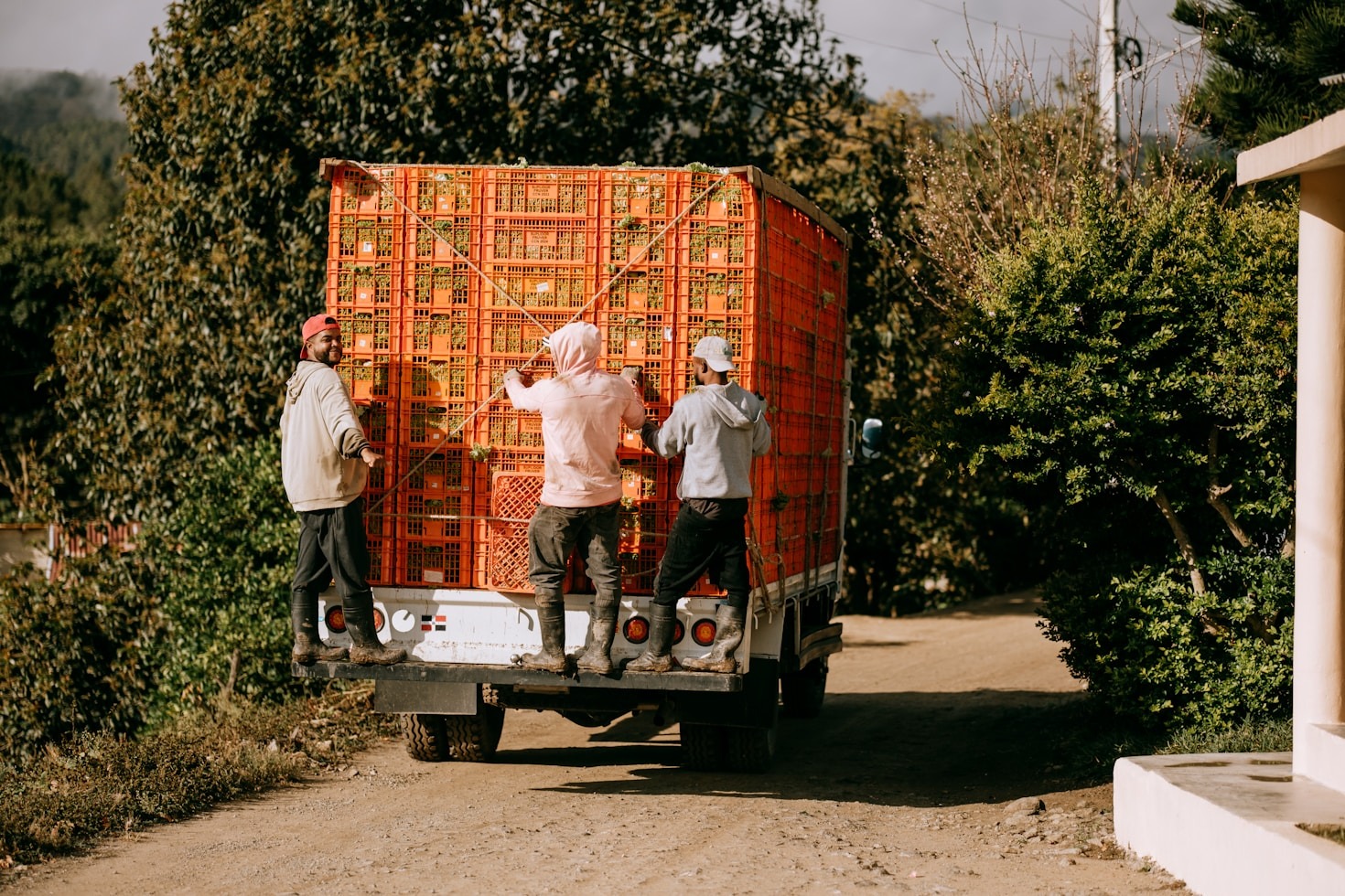 Top Reasons to Trust Heavy Lifting Movers